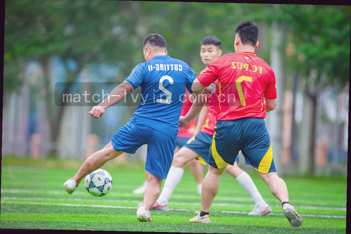 球队订阅列表与每轮反馈指标卡的抽象界面